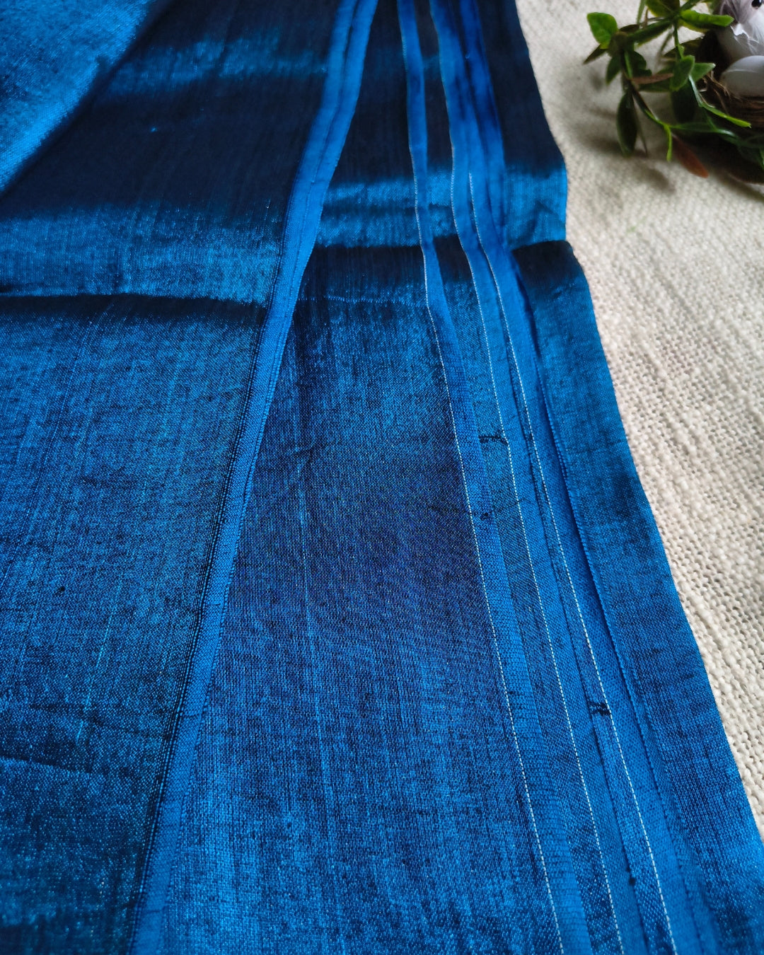 Pure Khadi Tissue Saree with Coin design - Blue