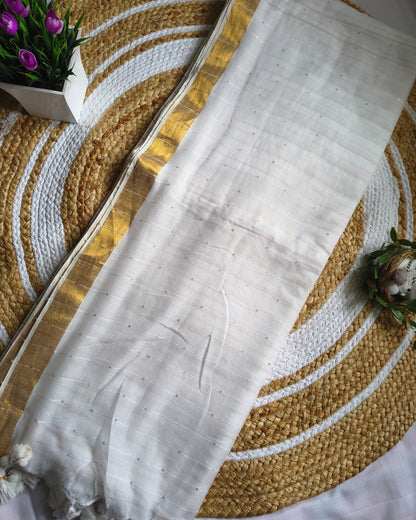 Handloom Mul Cotton Saree with Golden Stripes, Border and Sequence in Pallu - White