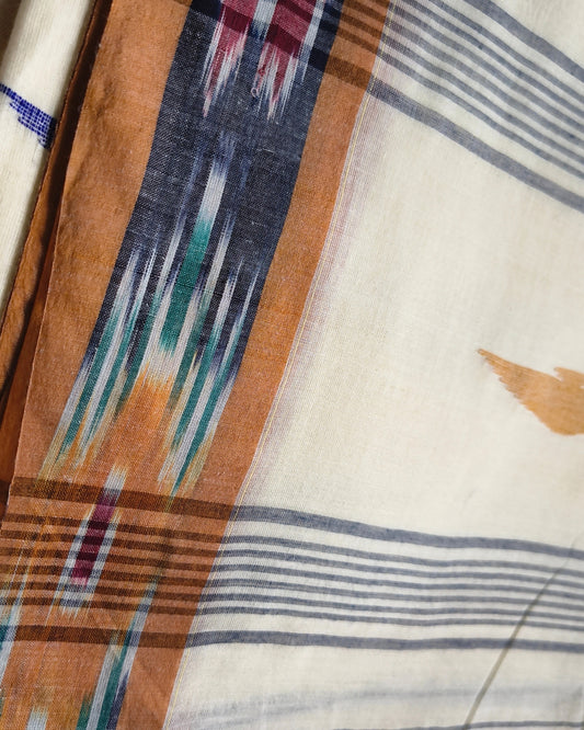 Pure Cottom Handloom Saree - Ikkat - Beige